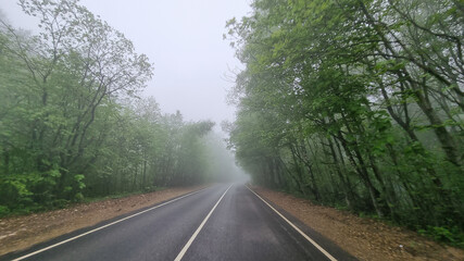 through the windshield of the car road in the fog. 