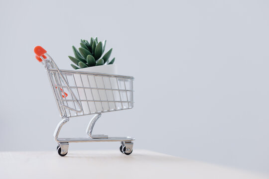 a cart from a supermarket or a basket, a consumer basket. buying food and calculating food costs, increasing prices for food and clothing, inflation and taxes, increasing the cost of fuel