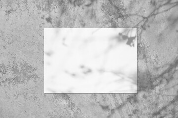 Empty white horizontal rectangle poster or card mockup with soft tree leaves and branches shadows on neutral light grey concrete wall background. Flat lay, top view