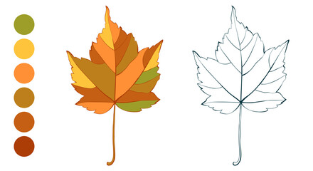 Coloring sheet with bright autumn maple leaf and appropriate color palette isolated on white background. Hand-drawn style vector illustration.