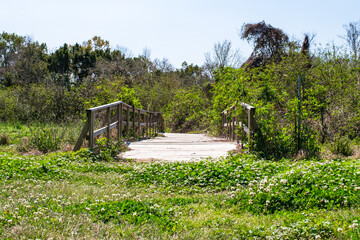 Foot Bridge to Nowhere in City Park