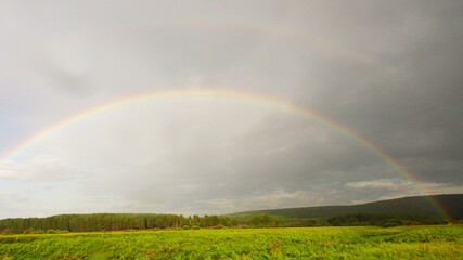 The rainbow over the pine forest is the real beauty of Siberia. Light rain and a breeze perfectly complement this picture