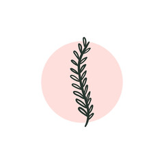 Doodle Flowers Icon. Hand Drawn Illustration. Abstract floral, botanical decor.