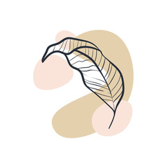 Doodle Flowers Icon. Hand Drawn Illustration. Abstract floral, botanical decor.