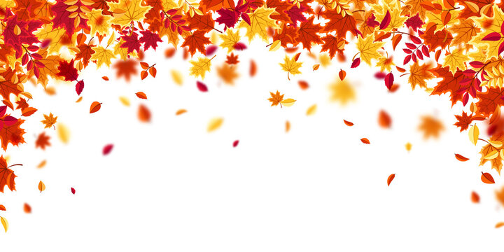 Falling autumn leaves. Nature background with red, orange, yellow foliage. Flying leaf. Season sale. Vector illustration.