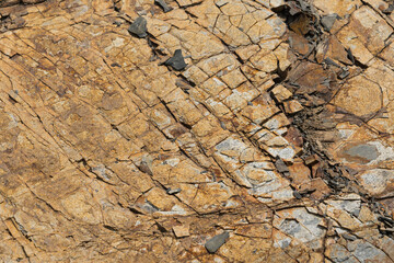 Rocky rock with cracks. Interesting background or texture.
