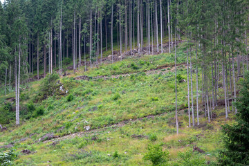 Landscape in Romania
