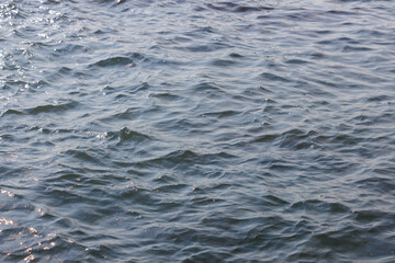 the sea close-up. water texture. water surface with waves