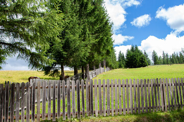 Landscape in Romania