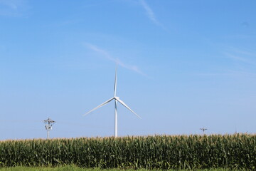 Corn Field with Wind Turbine 