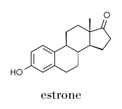 Estrone (oestrone) human estrogen hormone molecule. Skeletal formula.