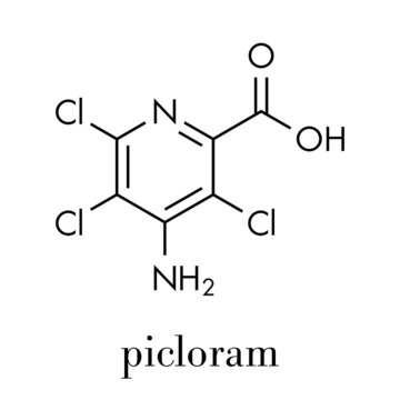 Picloram herbicide molecule. Skeletal formula.