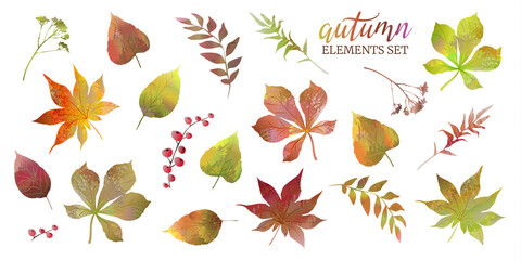 Obraz premium Autumn set with colorful leaves, branches and berries. Elements for your design.