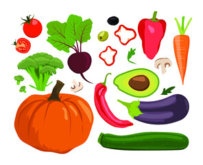 Set of vegetables isolated on the white background. Vector illustration