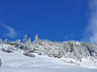 Schneelandschaft auf dem Zwiesel