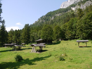 Bereich der Wildfütterung in der Nähe des Hintersees