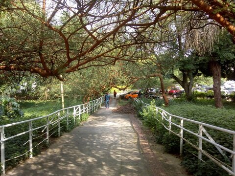 O caminho da Biblioteca do Gragoat&aacute; - UFF NIter&oacute;i