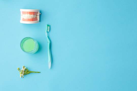 Toothbrush and chamomile mouthwash on blue