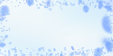 Dark blue flower petals falling down. Unequaled ro