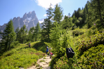 masque de protection covid-19 dans la nature , ballade en montagne et forêt