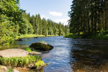 River "Regen" in the Bavarian Forest