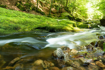 River, Buchberger Leite, Bavarian Forest