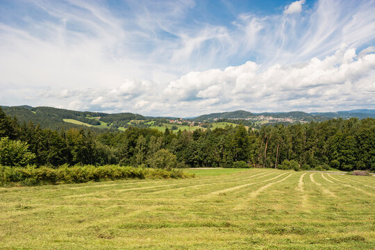 Bavarian Forest,  near Solla