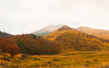 View of mountain, yellow field and deciduous forest in autumn