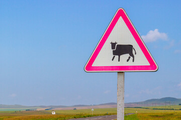 Road sign Crossing Cattle. Warning of a possible exit to the roadway of cows along the road in countryside