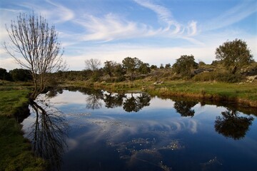 RIVERA DE BRANDILANES