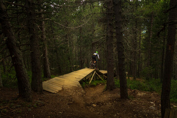 a person riding a bicycle on a wooden path through the trees in the forest