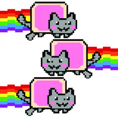 Space Cat Taco Tuesday Mexicano Cinco de Mayo Wey. Hot cat. Cat meme
