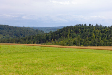View in cloudy sky over pastures and meadows towards forest on Swabian Alb
