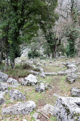 Fototapeta na wymiar stone and marble debris in grass, ancient city Termessos in Turkey