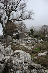 stone and marble debris of ancient abandoned city Termessos lost in Turkey mountains