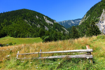 Fototapeta na wymiar Summer landscape in the Carpathians, Magura Village, Romania, Europe