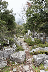 Fototapeta na wymiar ancient stone road in abandoned city Termessos in Turkey mountains