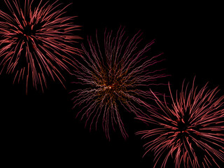 festive fireworks, fireworks in the night sky
