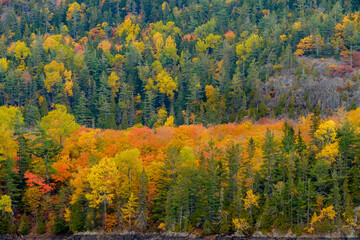 Pine trees and perfect autumn colors surround a small Beaver Pond