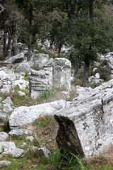 Fototapeta na wymiar stone and marble debris in grass, ancient city Termessos in Turkey