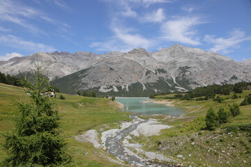 Nel primo lago