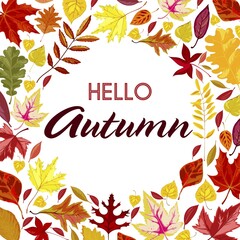 Hello autumn, banner with dry colored foliage