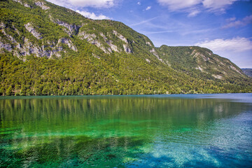 Fototapeta na wymiar the popular lake bohinj with a beautiful reflection