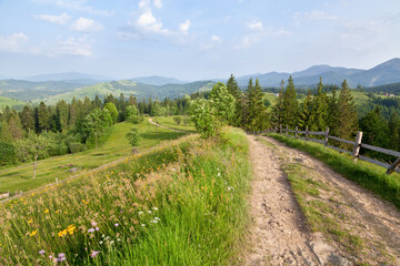 Obraz premium Mountain landscape with meadows and view of mountain ranges on the horizon. Carpathians.