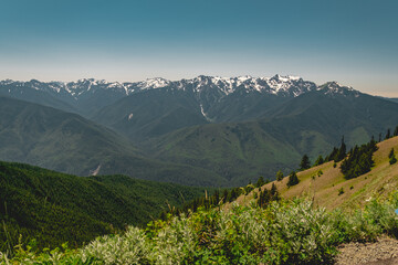 The Olympic mountains in summer, viewed from the Hurricane Hill trail in Olympic National Park