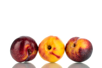 One juicy ripe nectarine and two plums, close-up, isolated on white.
