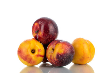Fototapeta na wymiar Two juicy ripe nectarines and two plums, close-up, isolated on white.