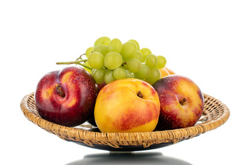 One juicy ripe nectarine, two plums and a bunch of grapes on a platter, close-up, isolated on white.