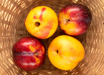 Two juicy ripe nectarines and two plums in a straw bowl, close-up, top view.