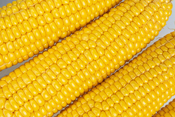 Cob Corn yellow natural Texture Close up
